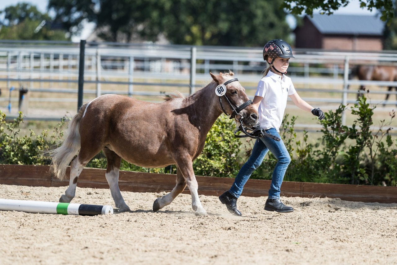 Bild 169 - Pony Akademie Turnier